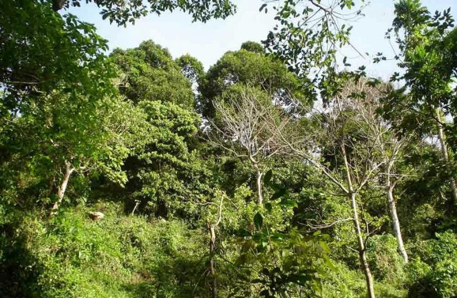
					Wisata Bukit Bedegil butuh perhatian banyak pihak