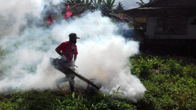 
					Kemenkes meminta masyarakat siaga DBD