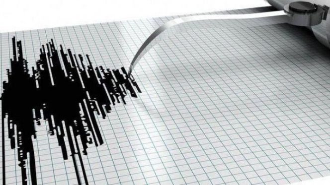 
					Gempa 6,5 SR guncang Halmahera Barat Maluku Utara