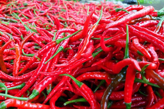 
					Tidak ada Impor Cabai segar sejak 2016