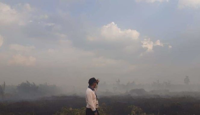 
					Karhutla dan Kabut asap Menhub minta Maskapai Utamakan Keselamatan Penumpang