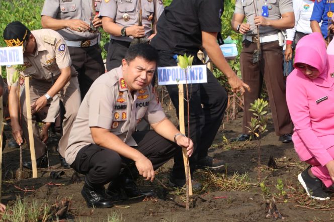 
					Kapolda NTB Pimpin Penanaman Pohon Mangrove di Pantai Cemara Lombok Barat