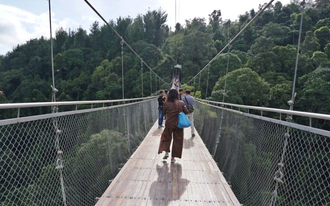
					Kementerian PUPR Bakal Bangun 148 Jembatan Gantung di Wilayah Pedesaan