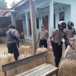 Nekat Beraksi di Tengah Pandemi Corona, Polresta Mataram Bubarkan Judi Sabung Ayam