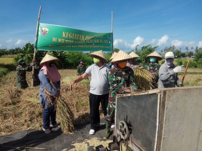 
					Antisipasi Cadangan Pangan Di Tengah Pandemi Covid – 19, Dandim 1628/SB, Hadiri Panen Raya