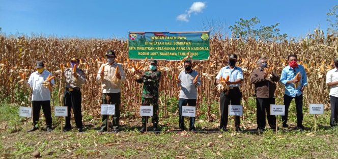 
					Koramil Ropang Gelar Panen Raya Guna Ketahanan Pangan