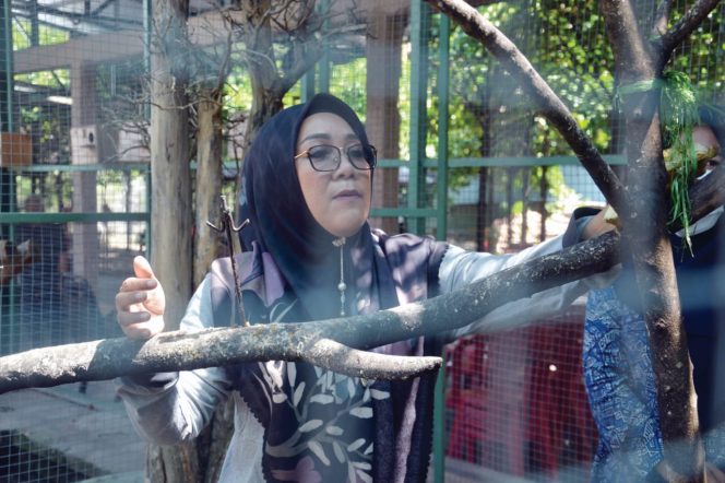 
					Selly-Manan Pastikan Ketersediaan TPU Bagi Warga Kota Mataram