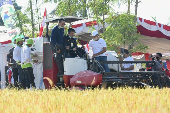 
					Panen Raya Sebagai Salah Satu Upaya Meningkatkan Pasokan Pangan di Masa Pandemi