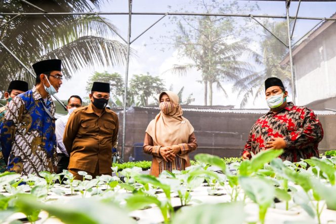 
					Warga Binaan LKS/LKSA Diberikan Bimbingan Manajemen Kelompok Usaha Ekonomi Produktif