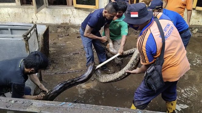 
					Berkat Bunda Khouni, Chelsea Dan Muna Berhasil Di Evakuasi