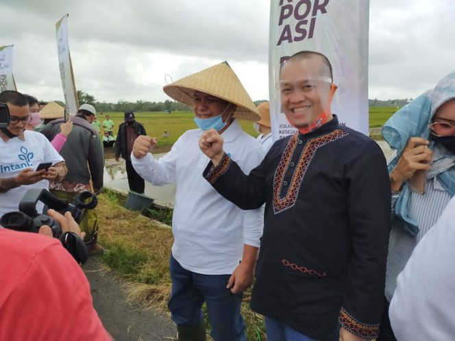 
					Intani Bangun Korporasi Petani 1.000 Hektar di Ujung Genteng