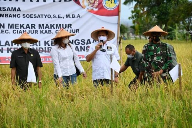 
					Bamsoet Berikan Bantuan Alsintan Saat Panen Raya Padi Cianjur