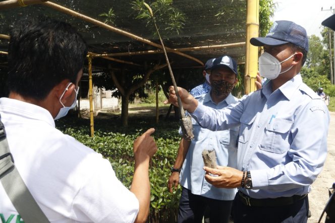 
					Pembibitan dan Tracking Mangrove Sangga Ekonomi Warga Lampung Timur
