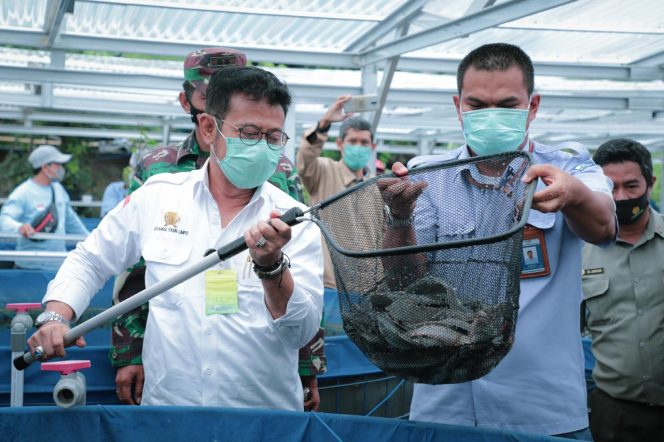 
					Budidaya Lele Sistem Bioflok Program Nyata Dari KKP untuk Akselerasi Ekonomi