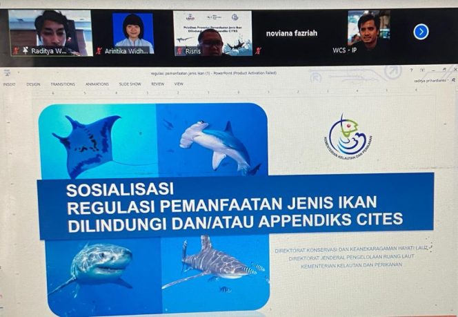 
					KKP Gelar Pelatihan Prosedur dan Perizinan Pemanfaatan Jenis Ikan Dilindungi dan atau Appendiks CITES
