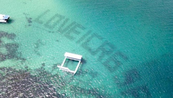 
					Restorasi Terumbu Karang Serap Lebih dari 10 Ribu Tenaga Kerja di Masa Pandemi