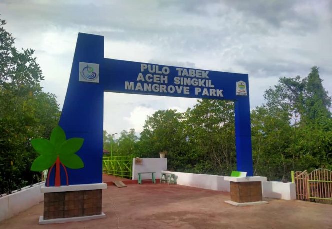 
					Taman Mangrove Pulo Tabek Menjadi Daya Tarik Wisata Baru di Tanah Singkil Aceh