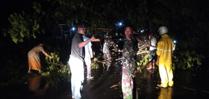 
					Dandim 1628/SB Bantu Bersihkan Pohon Tumbang Di Jalan Lintas Sumbawa Bima