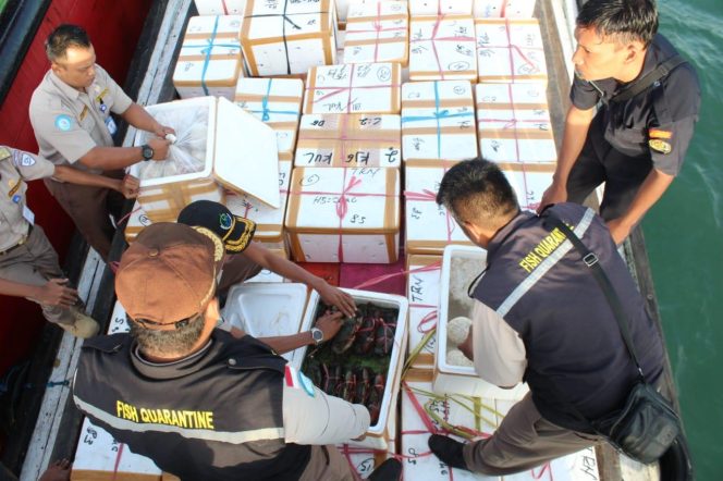 
					KKP Dorong Peningkatan Jumlah Kemitraan UPI untuk Peningkatan Ekspor