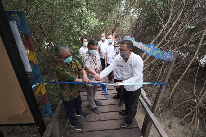 
					Kini Gresik Punya Tracking Mangrove Sepanjang 1,5 Kilometer