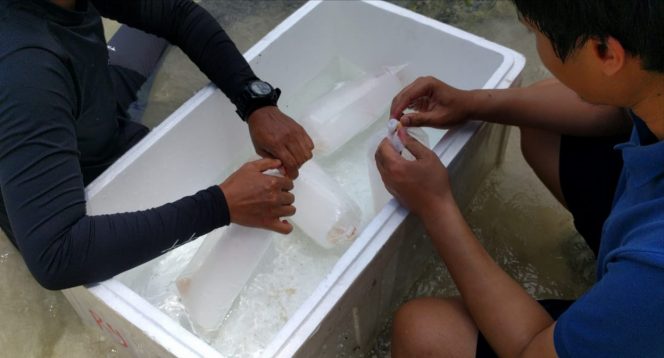 
					Menteri Trenggono dan TNI AL Sepakat Bersinergi Berantas Penyelundupan Benih Lobster