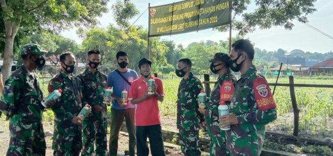 
					Sukseskan Ketahanan Pangan, Kodim 1607/Sumbawa Tanam Jagung Hibrida