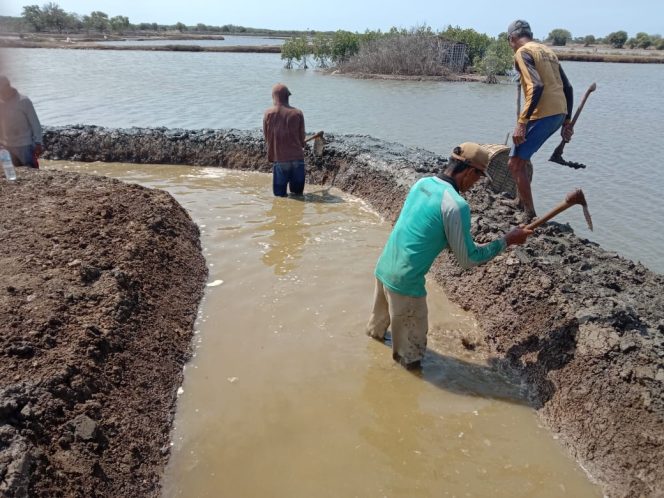 
					Melalui Program Padat Karya Pengelolaan Irigasi Tambak Partisipatif, KKP Dukung Pemulihan Ekonomi Nasional