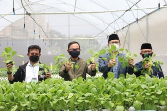 
					Kunjungi Ponpes Al Ghazaly, Mentan SYL Serukan Kerja Kolaboratif Lawan Covid