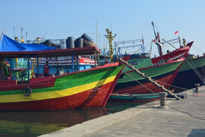 
					Bagaimana lini bisnis 2 BUMN Perikanan jika dilakukan Merger? ini kekuatannya