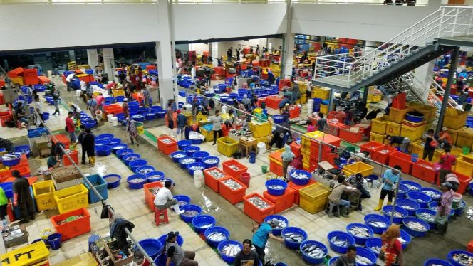 
					Harga Ikan Menanjak, Perum Perindo Prediksikan Stabil di Kuartal II 2021