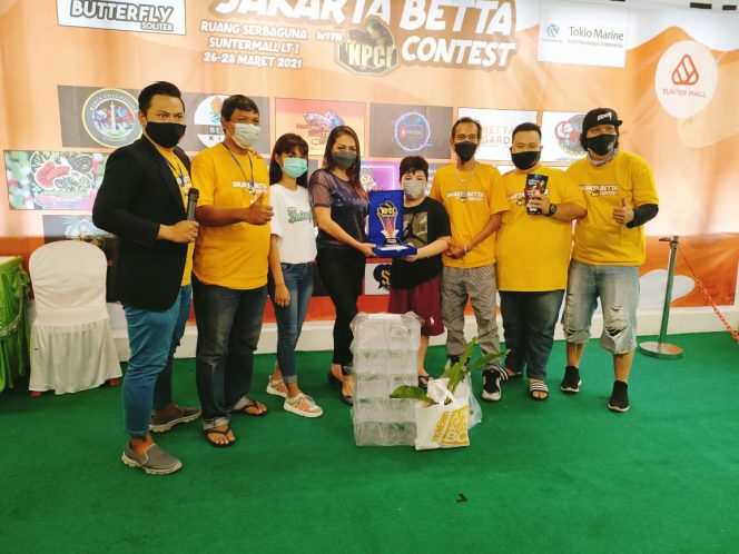 
					KPCI Gelar Kontes Ikan Cupang di Jakarta, Berikut Pemenangnya