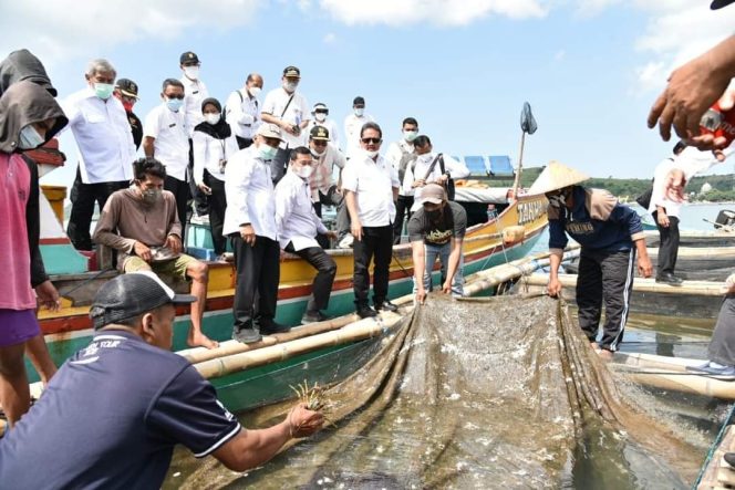 
					Potensi Melimpah, NTB Akan Dijadikan Pusat Budidaya Lobster Nasional