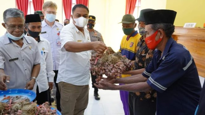 
					Bupati Busel Serahkan Bantuan Bibit Bawang Merah Kepada Masyarakat 