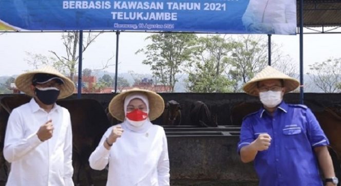 
					Kemnaker Gelar Pelatihan Budidaya Ternak Domba di Karawang