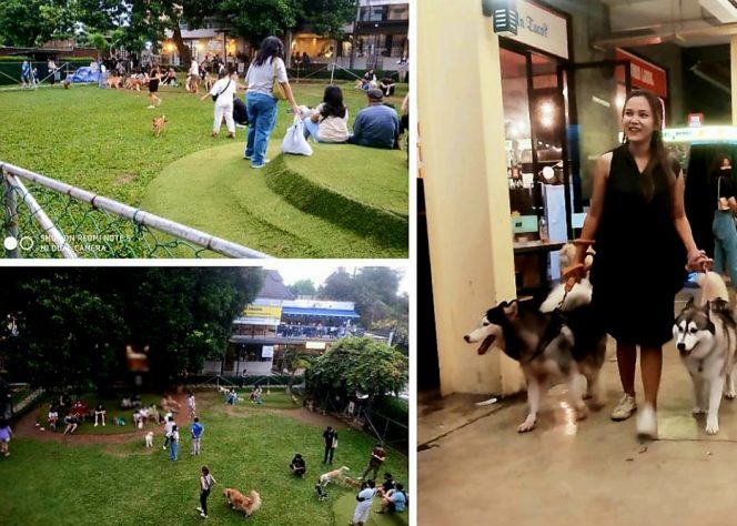 
					Akhir Pekan Como Park Ramai Dikunjungi Pecinta Anjing