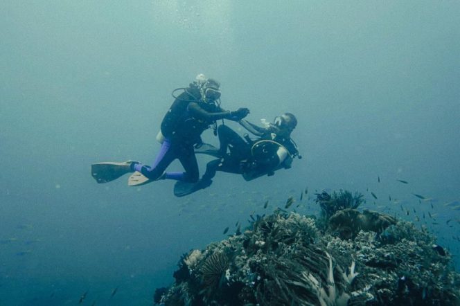 
					Kapolres Rote Ndao bersama Tim melakukan giat penyelaman di spot Diving Pulau Ndao yang bertujuan memperkenalkan potensi  pariwisata laut kepada masyarakat agar memiliki kesadaran untuk menjaga lingkungan laut ( foto : istimewa)