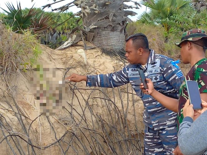 
					Tulang Belulang Manusia Tanpa Indentitas Ditemukan di Pantai Desa Ledeana Sabu Raijua