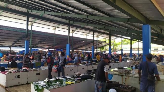 
					Persediaan dan Harga Ikan Laut di Pasar Wameo Stabil