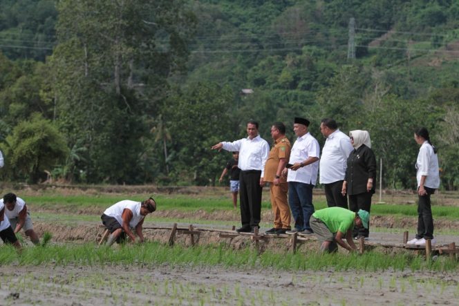 
					Amankan Produksi Melimpah, Kementan dan Bapanas Ajak Stakeholder Sambut Panen Raya 2024