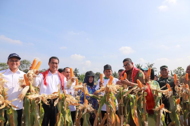 
					Panen dan Tanam Jagung Di Kota Medan, Mentan Amran Genjot Produksi Optimis Hentikan Impor