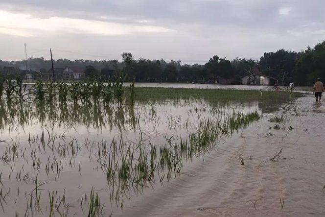 
					Kementan Mitigasi Bencana Banjir di Lahan Pertanian Grobogan