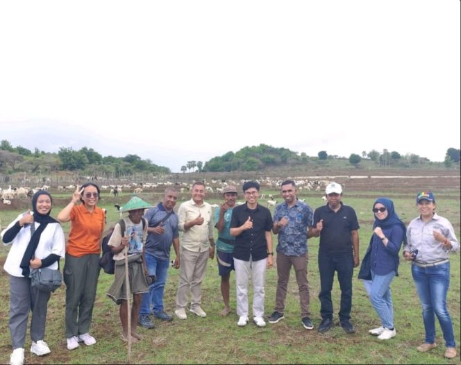 
					Guru Besar IPB Dorong Pengembangan Ternak Domba Premium di Rote Ndao