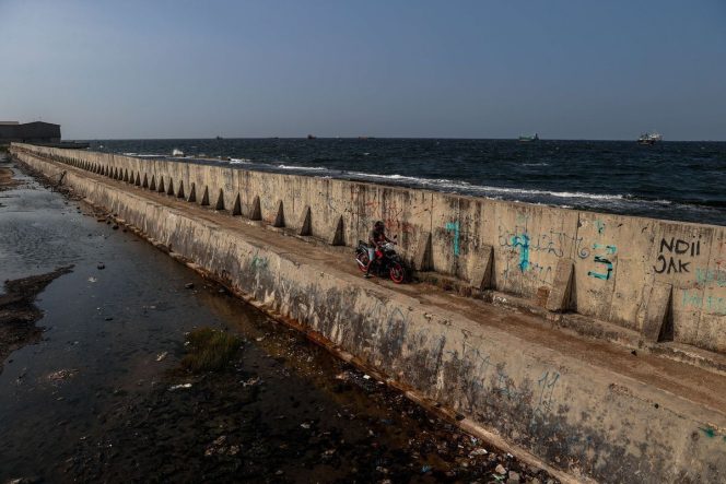 
					Foto: dok. kompas