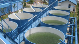 Foto: dok. sindonews