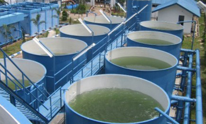 
					Foto: dok. sindonews