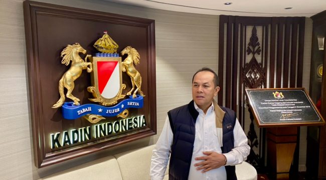 Foto: Alven Stoni (Ketum GAPEMBI)