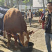 Foto: dok. Lentera